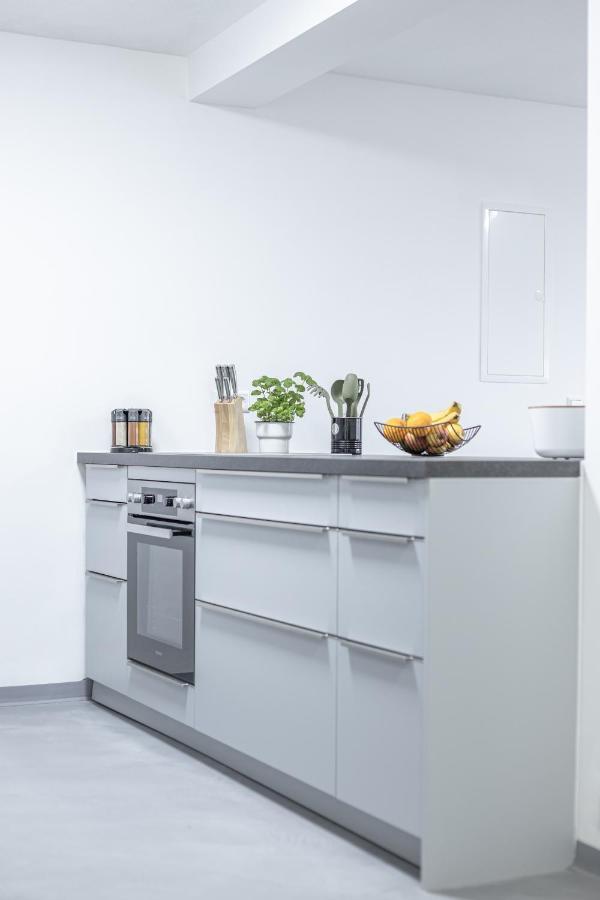 Exklusive Neubau-Ferienwohnung Mit Fernsicht Konstanz Dış mekan fotoğraf